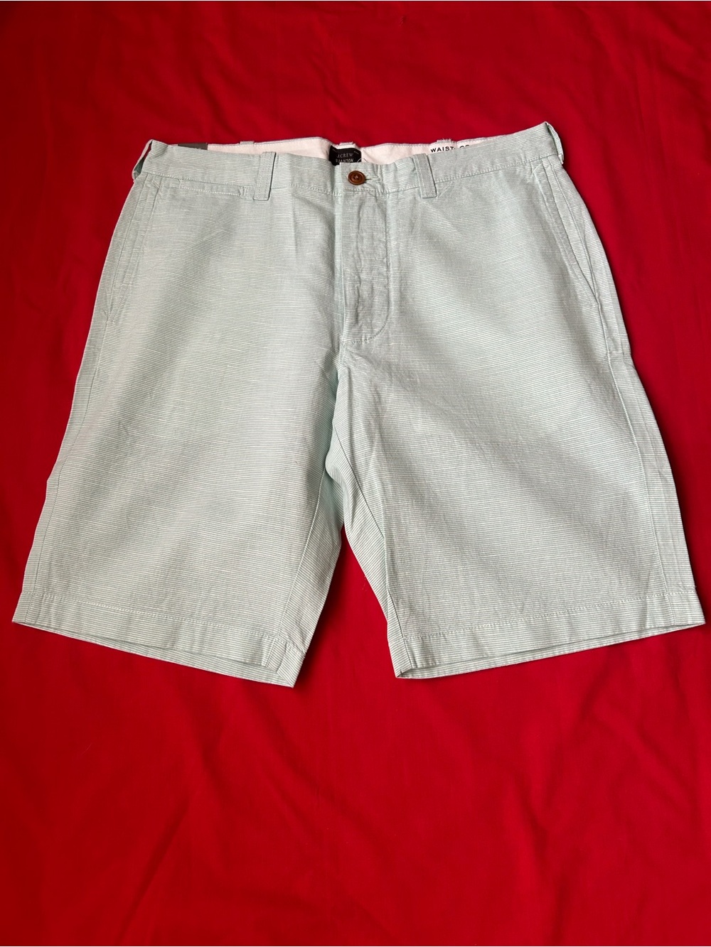 NWT- J. Crew Men's Mint Green Flat Front Chino Shorts